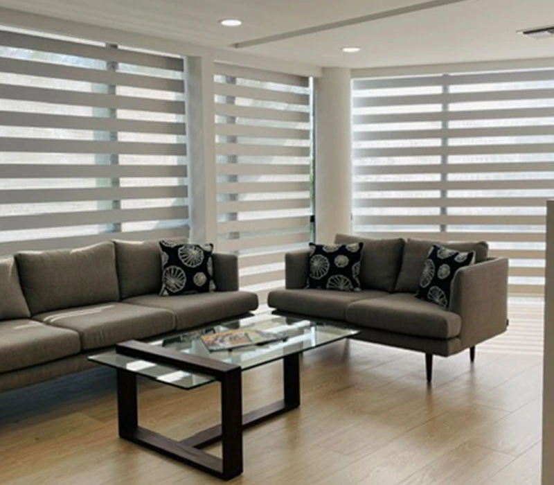 DecorSelis Zebra Shades offer an ideal balance between softly diffused natural light and enhanced privacy.
